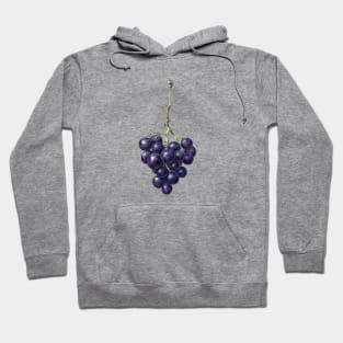 Bunch of blue grapes by Jean Bernard Hoodie